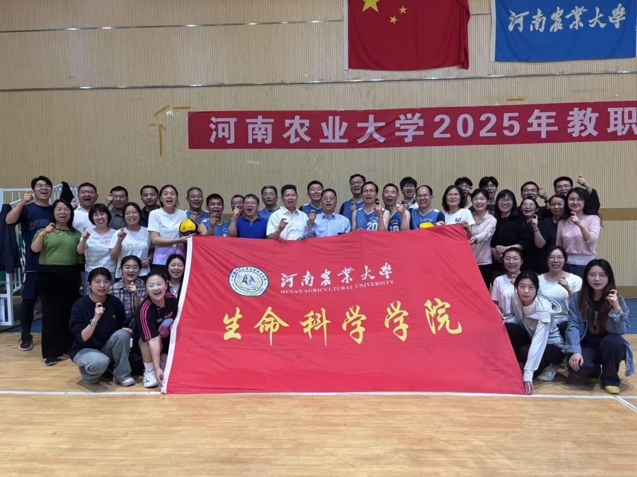 新葡京娱乐场