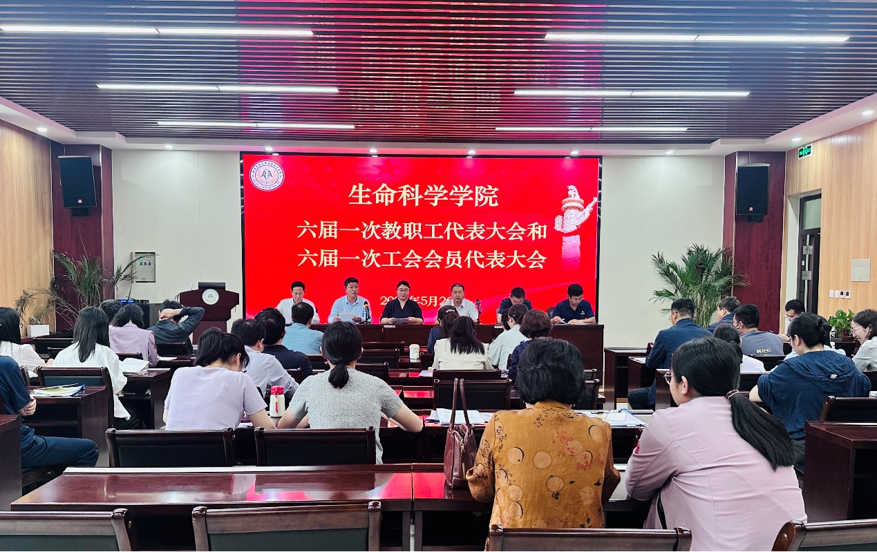 新葡京娱乐场