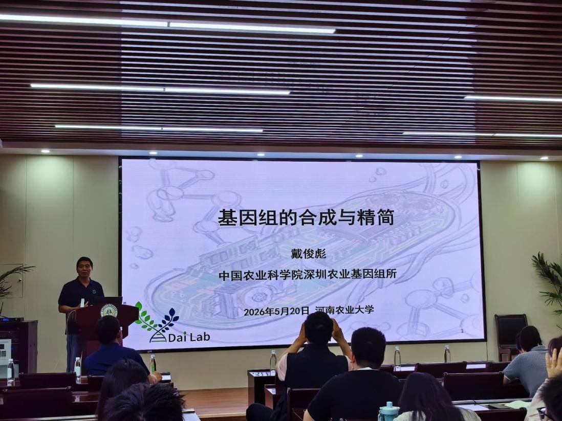 新葡京娱乐场