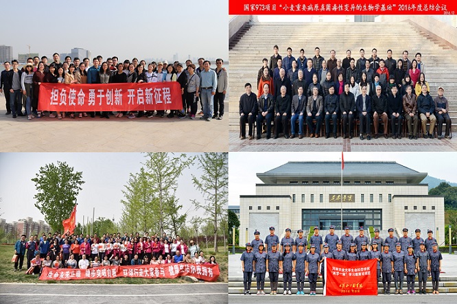 新葡京娱乐场