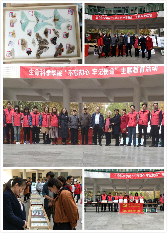 新葡京娱乐场