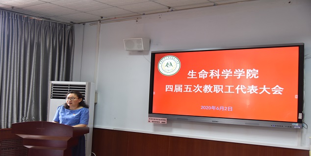 新葡京娱乐场