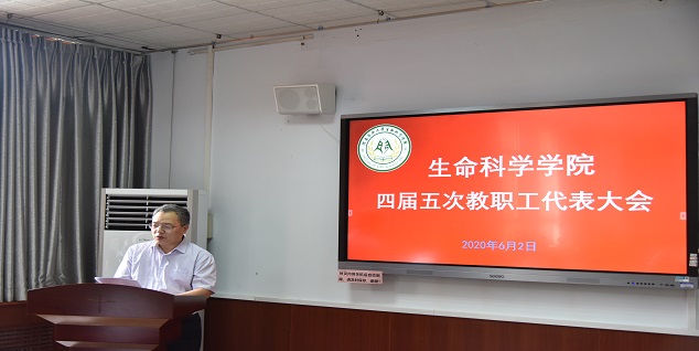 新葡京娱乐场