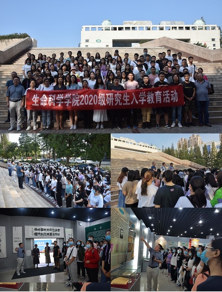 新葡京娱乐场