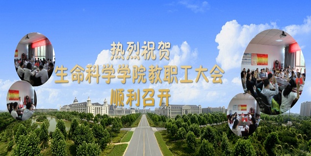 新葡京娱乐场