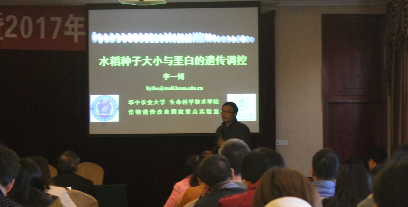 新葡京娱乐场