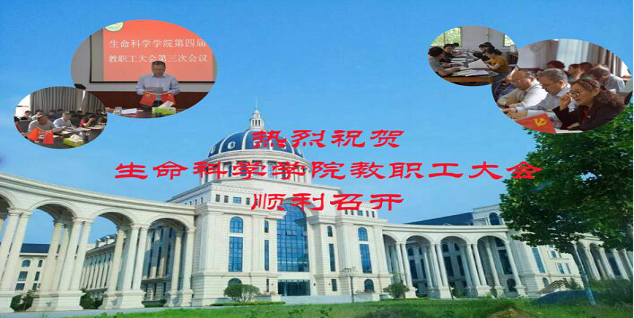 新葡京娱乐场